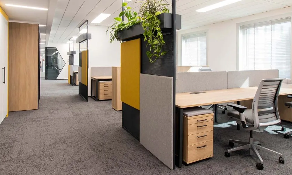 Open Plan Office with Screeens and Planters
