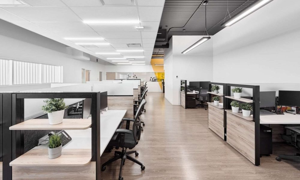 Office Furniture Open Plan Office Planter Shelves Mesh Chairs